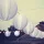 Szolár lampion hidegfehér 21x22cm fehér