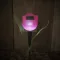 Leszúrható kerti LED tulipánlámpa 30cm