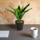 Műnövény dekoráció - zöld sáfrányfa - 20 x 8,5 cm