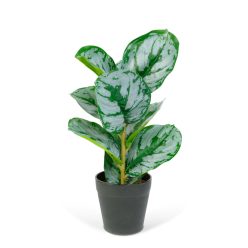   Műnövény dekoráció - zebralevél - zöld/fehér - 34 x 9 cm