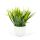 Műnövény dekoráció - műfű - zöld - 20 x 8 cm
