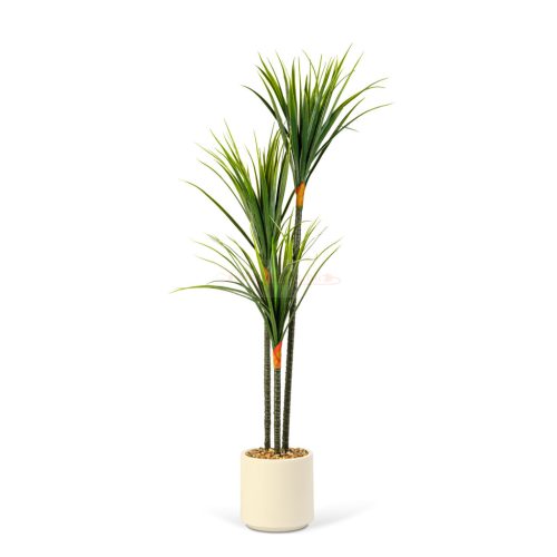 Műnövény dekoráció - Dracaena Marginata - zöld - 1,2 m