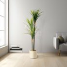 Műnövény dekoráció - Dracaena Marginata - zöld - 1,2 m