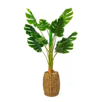 Műnövény dekoráció - filodendron - 1 m