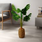 Műnövény dekoráció - filodendron - 1 m