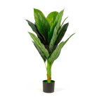 Műnövény dekoráció - colocasia - 1 m