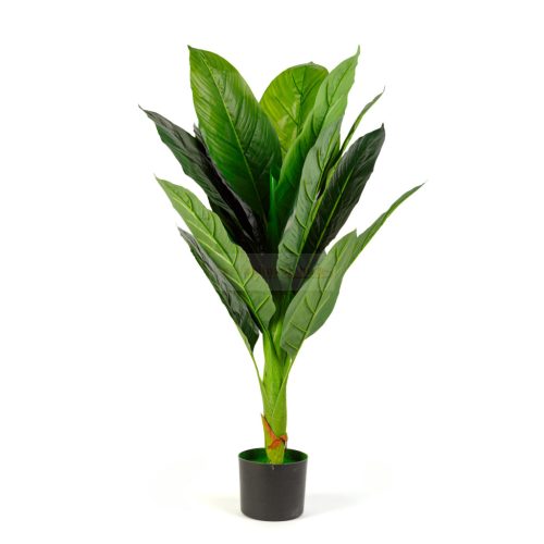 Műnövény dekoráció - colocasia - 1 m