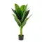 Műnövény dekoráció - colocasia - 1 m