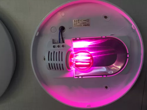 LED lámpa E27 filament (2W/300°) Kisgömb - pink
