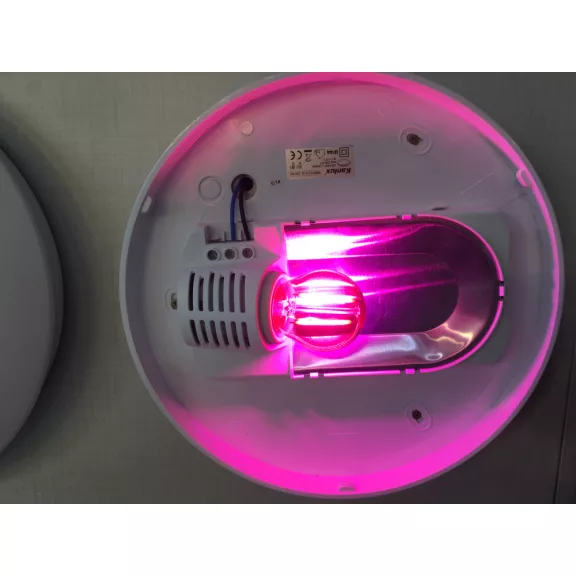 LED lámpa E27 filament (2W/300°) Kisgömb - pink