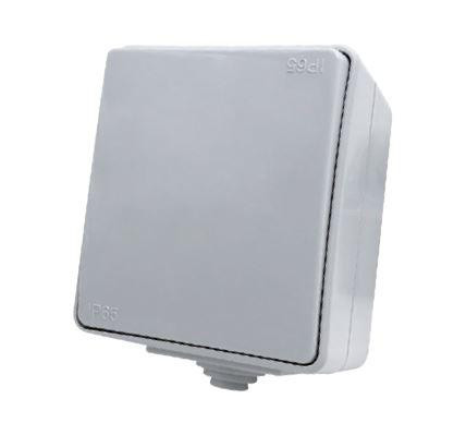 Ex egypólusú vízmentes kapcsoló IP65 szürke