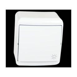   Falon kívüli egy pólusú nyomó101N kapcsoló IP20 Electrix