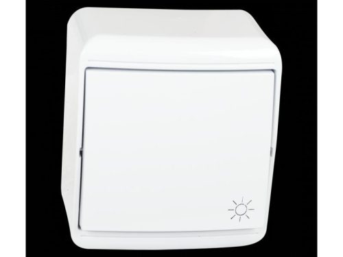 Falon kívüli egy pólusú nyomó101N kapcsoló IP20 Electrix