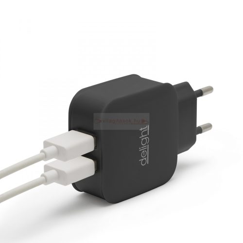 USB-s Hálózati adapter, Dupla