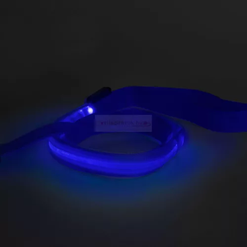 LED-es póráz - akkumulátoros - 120 x 2,5 cm - kék