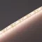 Led szalag SMD3528 9,6W/m 120 led/m kültéri szilikon meleg fehér