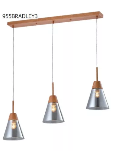 BRADLEY függeszték 3XE27