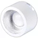 Kerek LED fali világítótest állítható színhőmérséklettel 230V,25W,3000/4000/5700K,2180/2530/2340lm, 90°,IP54, EEI=F