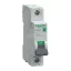 Schneider Easy9 Pro kismegszakító 1P C 25A 6kA