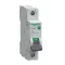 Schneider Easy9 Pro kismegszakító 1P C 50A 6kA