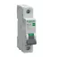 Schneider Easy9 Pro kismegszakító 1P C 50A 6kA