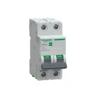 Schneider Easy9 Pro kismegszakító 2P C 16A 6kA