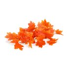 Őszi dekoráció - falevél girland - 240 cm