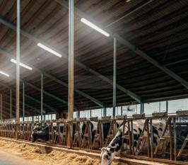 Prachu- a vlhkostiodolné, amoniakuodolné stropné LED svietidlo 54W 7290 lm IP69K 4000K HACCP