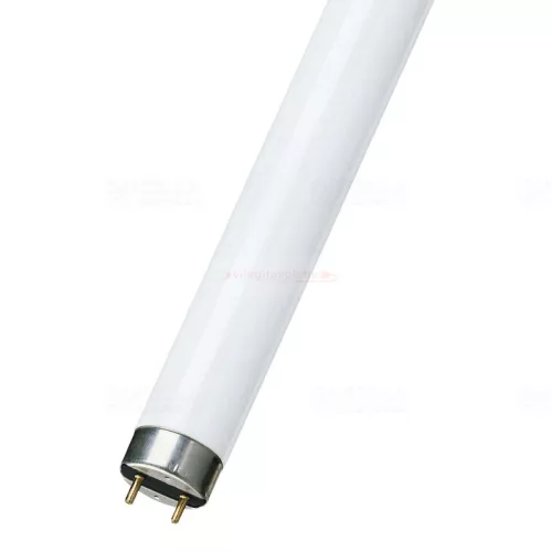 Fénycső 15W T8 6500K 437 mm