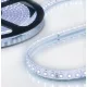 Prémium Food Safe LED szalag 24V AQUA IP68 10W/m 6000K klór, só, UV álló 5 méter