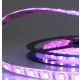 Prémium LED szalag 24V SIL IP66 14,4W/m RGB UV álló 5 méter
