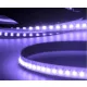 Prémium LED szalag 24V HEQ RGB IP20 28,8W/m 2184Lm/m 5 méter