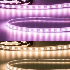   Prémium LED szalag 24V AQUA IP67 19W/m RGB+WW UV álló 5 méter