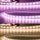 Prémium LED szalag 24V AQUA IP67 19W/m RGB+WW UV álló 5 méter
