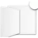 Prémium Backlight Line Led panel 36W természetes fehér 600x600 UGR19 1-10V dimmelhető