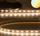 Prémium CRI96 DIMM-TO-WARM (naplemente) LED szalag 120LED/m 1800-3000K 1160Lm/m 24V 14W/m