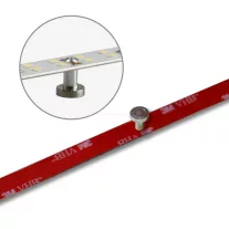   LED T5/T8 fénycső átszerelő lap 145cm MiniAmp csatlakozóval 24V 24W 170Lm/W 3000K