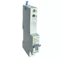   Kombinált védőkapcsoló, 2P, 1 modul, C karakterisztika 16A, 100mA, 6kA, A/AC, E3