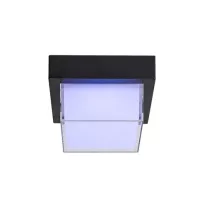 Durbe kültéri fali lámpa/ Kültéri mennyezeti LED 10W