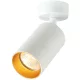 Mennyezeti állítható spot lámpatest, fehér, arany reflektor 100-240VAC, 50Hz, 1xGU10, max.35W