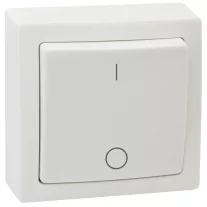  Falon kívüli kétpólusú kapcsoló 10AX/250VAC, IP20 (102)