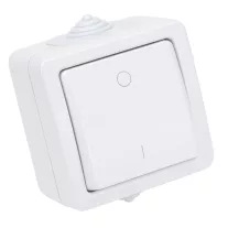   Falon kívüli kétpólusú kapcsoló 10AX/250VAC, IP54, (102)
