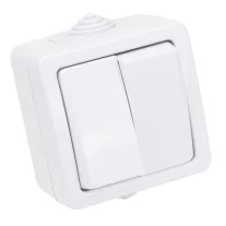   Falon kívüli 2-áramkörös kapcsoló 10AX/250VAC, IP54, (2x101)