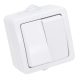 Falon kívüli 2-áramkörös kapcsoló 10AX/250VAC, IP54, (2x101)