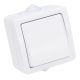 Falon kívüli 1-áramkörös kapcsoló 10AX/250VAC, IP54,(101)
