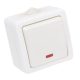 Falon kívüli 1-áramkörös kapcsoló, jelzőfénnyel 10AX/250VAC, IP54, (101)
