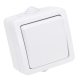 Falon kívüli váltókapcsoló 10AX/250VAC, IP54, (106)