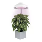 LED növénynevelő lámpa beltéri időzítős 15 LED