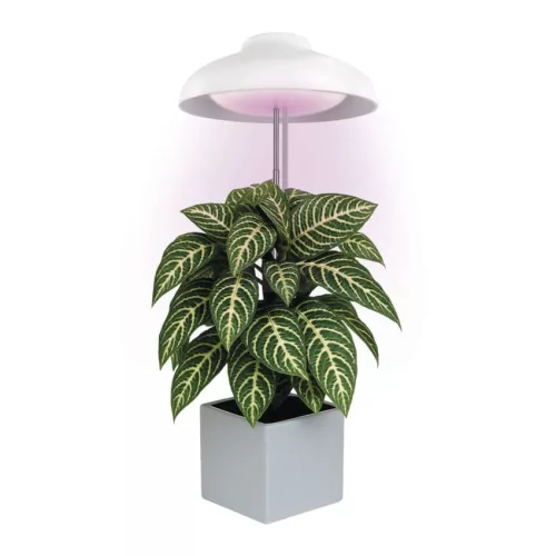 LED növénynevelő lámpa beltéri időzítős 15 LED