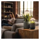 LED növénynevelő lámpa beltéri időzítős 15 LED